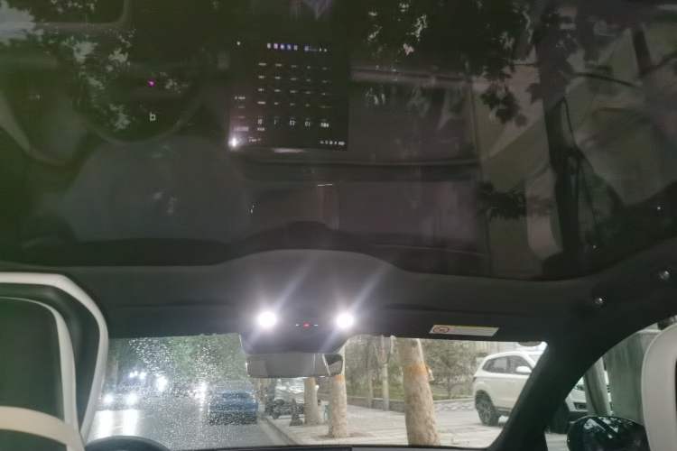 Used Xiaomi Auto SU7 2024 Rear-Drive Long-Range Intelligent Driving Version Headliner