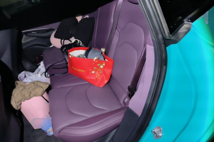 Used Xiaomi Auto SU7 2024 Four-Wheel Drive Ultra-Long Range Advanced Intelligent Driving Max Edition Left Rear Seat