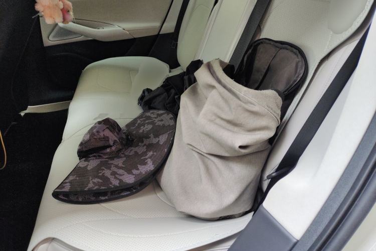 Used Xiaomi Auto SU7 2024 Rear-Drive Long-Range Intelligent Driving Version Left Rear Seat