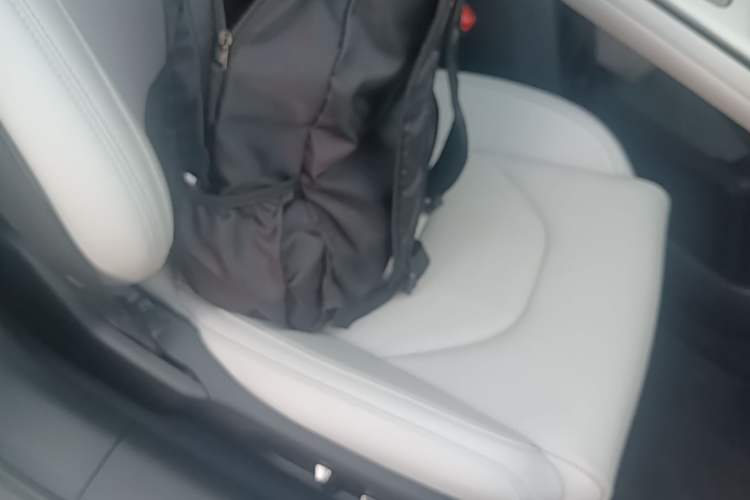 Used Xiaomi Auto SU7 2024 Rear-Drive Long-Range Intelligent Driving Version Right Front Seat