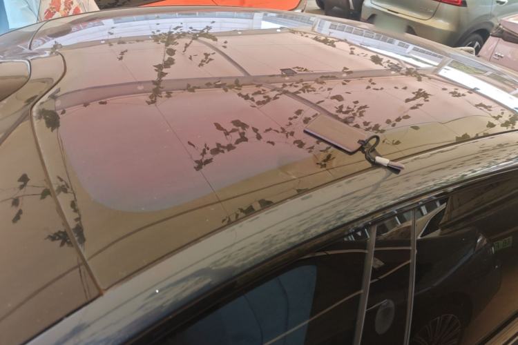 Used Xiaomi Auto SU7 2024 Rear-Drive Ultra-Long Range Advanced Pro-Level Intelligent Driving Version Roof