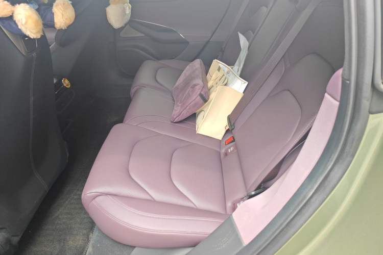 Used Xiaomi Auto SU7 2024 Four-Wheel Drive Ultra-Long Range Advanced Intelligent Driving Max Edition Left Rear Seat