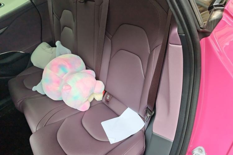 Used Xiaomi Auto SU7 2024 Four-Wheel Drive Ultra-Long Range Advanced Intelligent Driving Max Edition Left Rear Seat