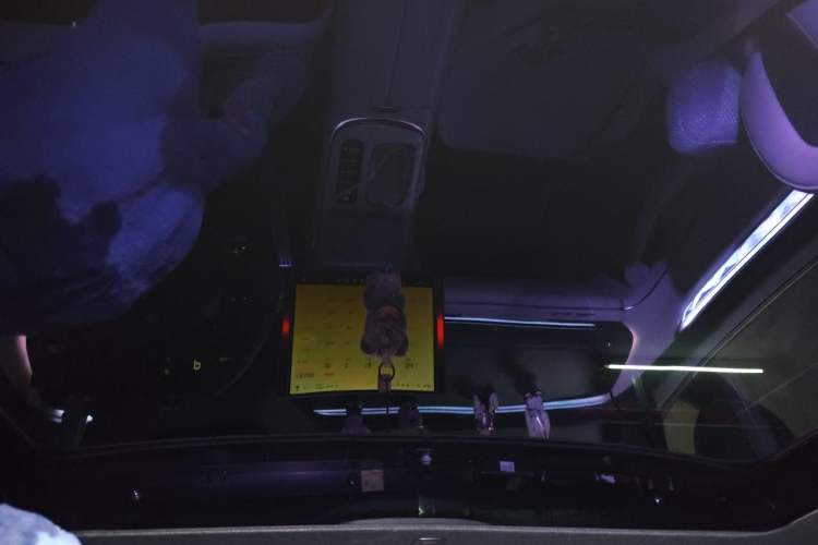 Used Xiaomi Auto SU7 2024 Four-Wheel-Drive Max Founder's Edition Headliner