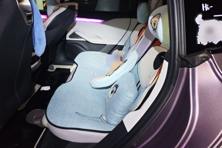 Used Xiaomi Auto SU7 2024 Four-Wheel-Drive Max Founder's Edition Left Rear Seat