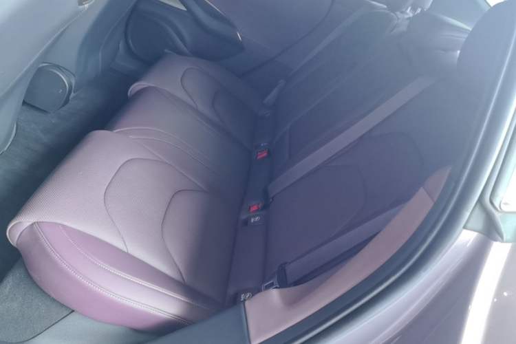 Used Xiaomi Auto SU7 2024 Four-Wheel-Drive Max Founder's Edition Left Rear Seat