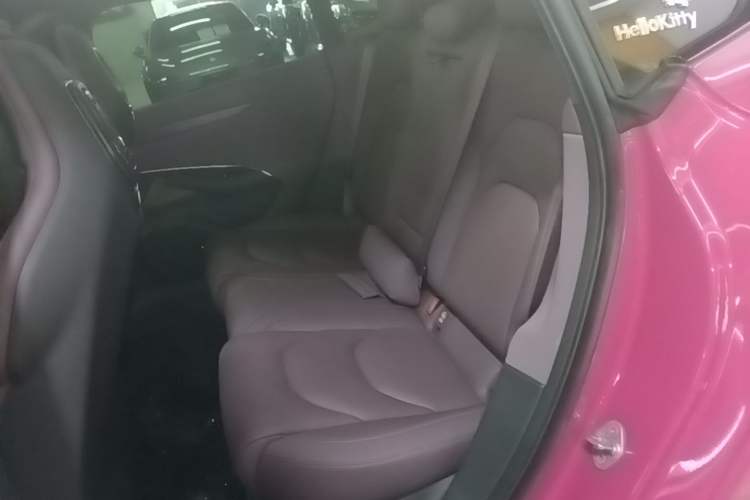 Used Xiaomi Auto SU7 2024 Four-Wheel Drive Ultra-Long Range Advanced Intelligent Driving Max Edition Left Rear Seat