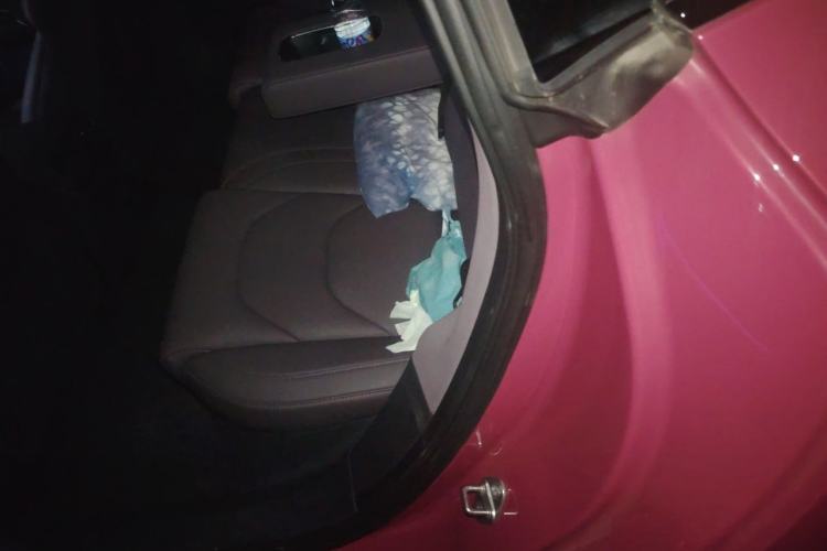 Used Xiaomi Auto SU7 2024 Four-Wheel-Drive Max Founder's Edition Left Rear Seat