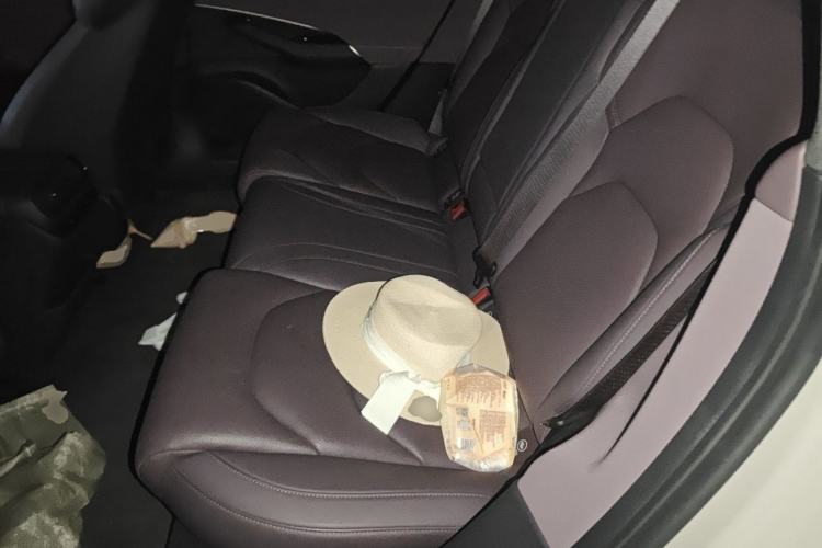 Used Xiaomi Auto SU7 2024 Rear-Drive Standard Founder Edition Left Rear Seat