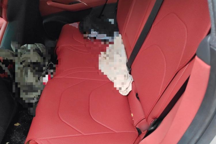 Used Xiaomi Auto SU7 2024 Rear-Drive Long-Range Intelligent Driving Version Left Rear Seat
