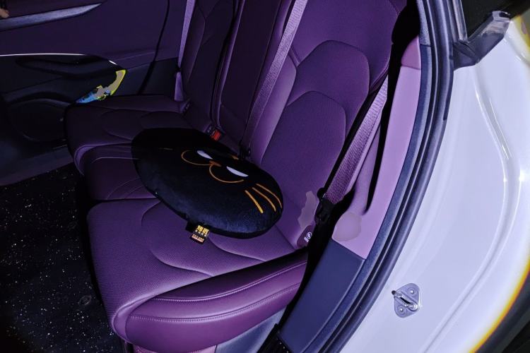 Used Xiaomi Auto SU7 2024 Rear-Drive Long-Range Intelligent Driving Version Left Rear Seat