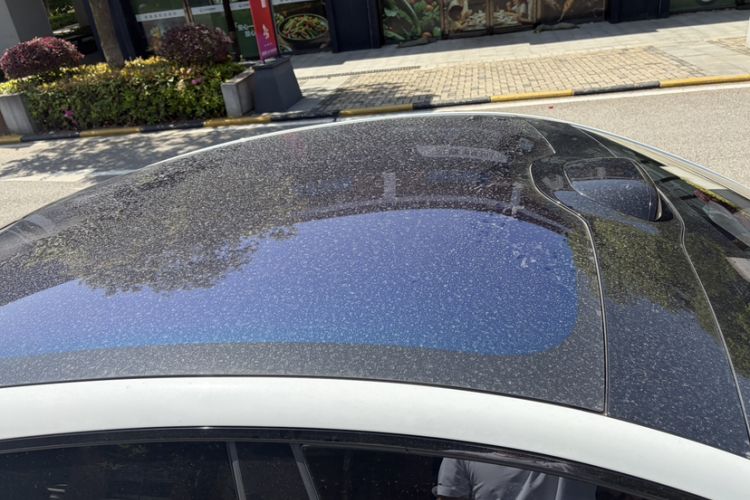 Used Xiaomi Auto SU7 2024 Rear-Drive Ultra-Long Range Advanced Pro-Level Intelligent Driving Version Roof