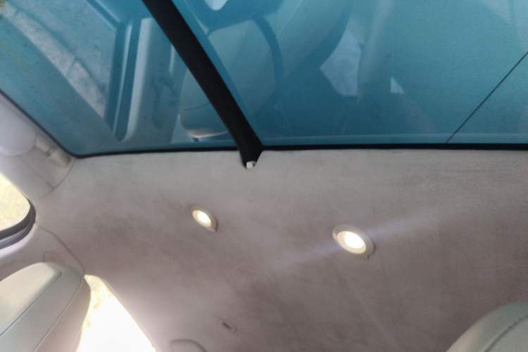 Used XPeng G3 2019 Smart Edition Headliner