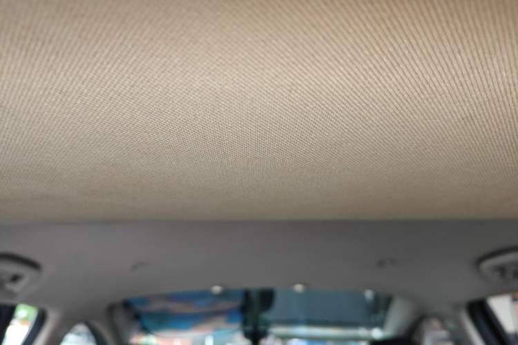 Used XPeng G3 2019 Enjoy Edition Headliner