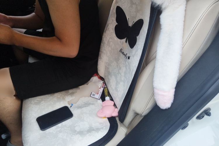 Used XPeng G3 2019 Smart Edition Left Rear Seat