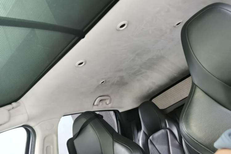 Used XPeng G3 2019 Deluxe Edition Headliner