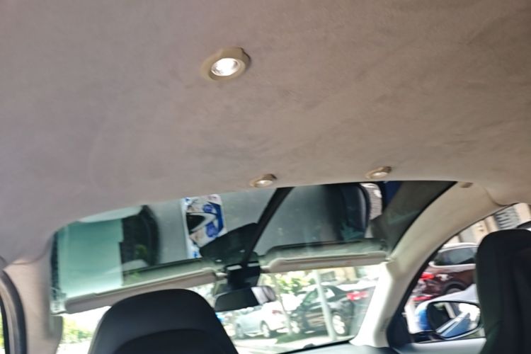 Used XPeng G3 2019 Deluxe Edition Headliner