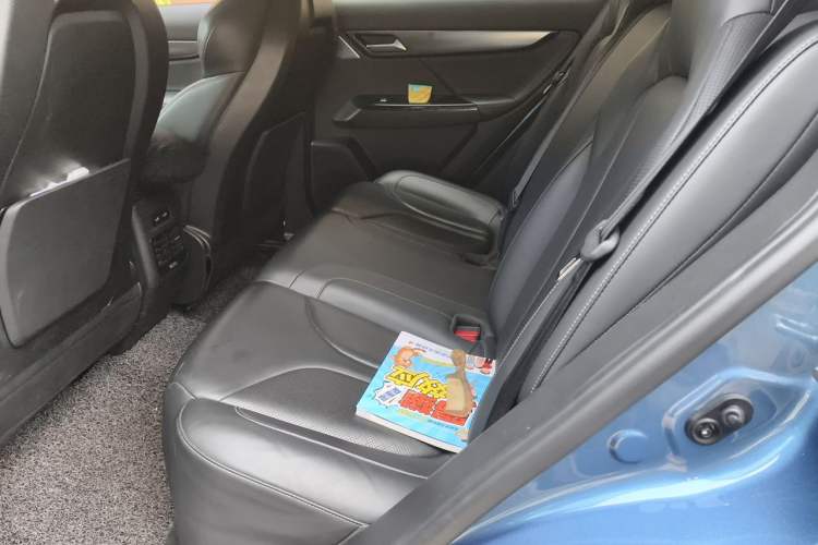 Used XPeng G3 2019 Deluxe Edition Left Rear Seat