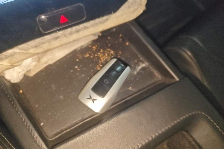 Used XPeng G3 2019 Smart Edition Vehicle Key