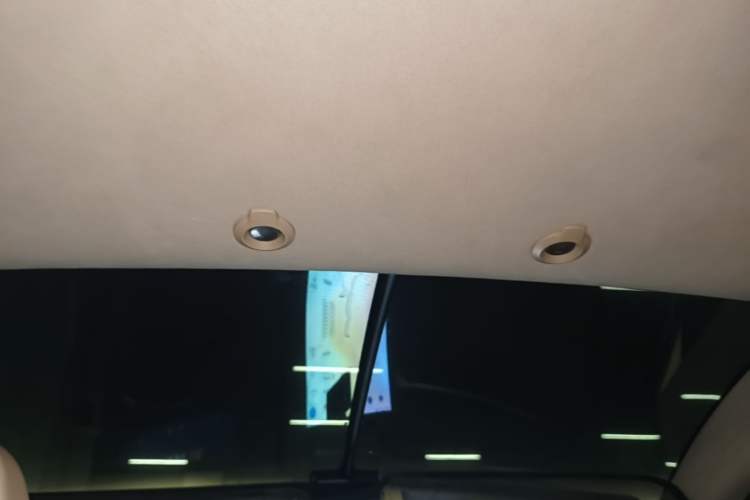 Used XPeng G3 2019 Deluxe Edition Headliner