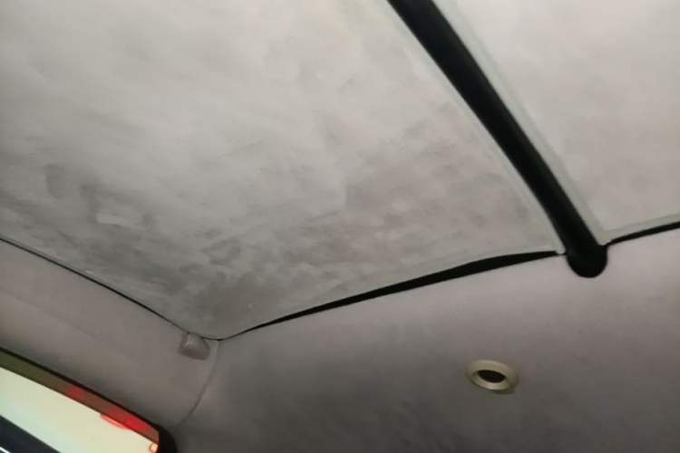 Used XPeng G3 2019 Deluxe Edition Headliner