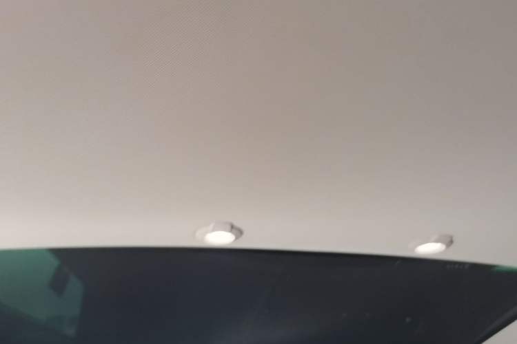 Used XPeng G3 2019 Smart Edition Headliner