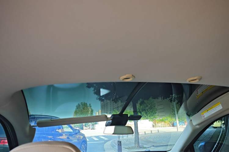 Used XPeng G3 2019 Smart Edition Headliner