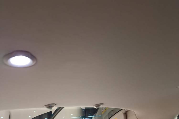 Used XPeng G3 2019 Smart Edition Headliner