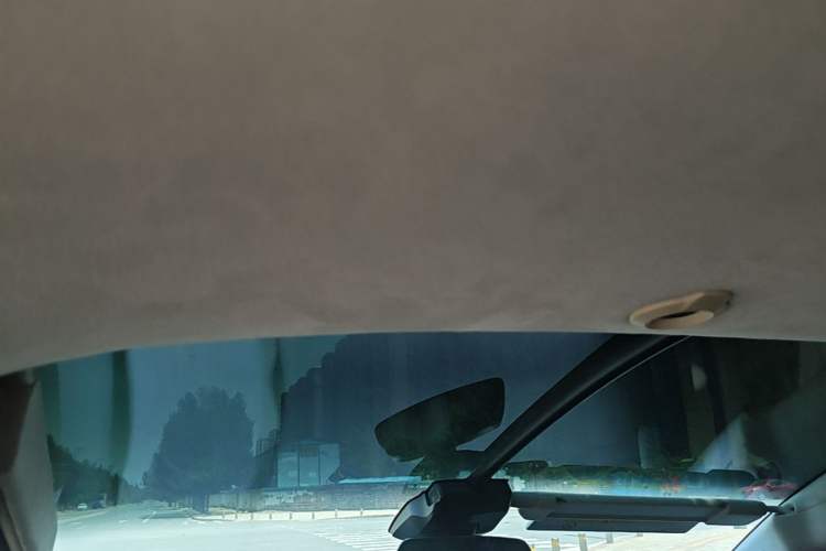 Used XPeng G3 2019 Deluxe Edition Headliner