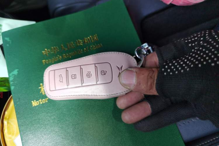 Used XPeng G3 2019 Deluxe Edition Vehicle Key