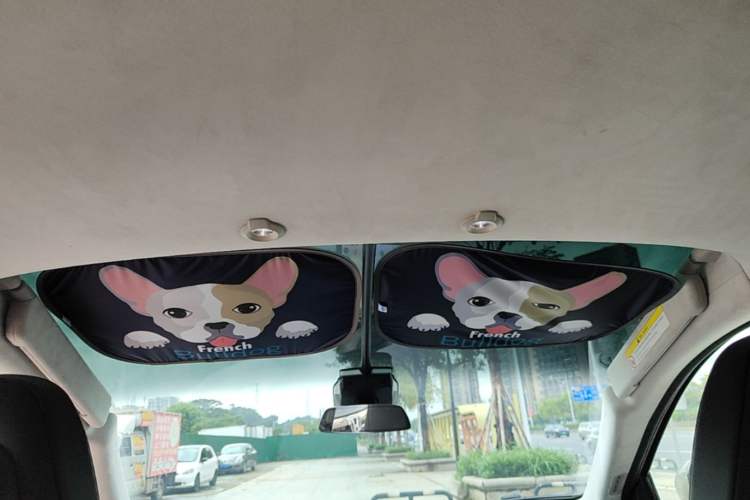 Used XPeng G3 2019 Deluxe Edition Headliner