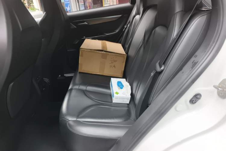 Used XPeng G3 2019 Smart Edition Left Rear Seat