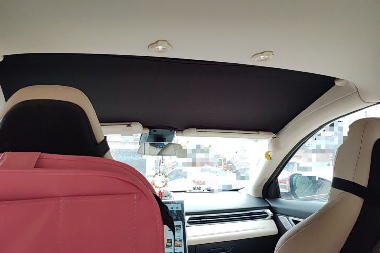 Used XPeng G3 2019 Smart Edition Headliner