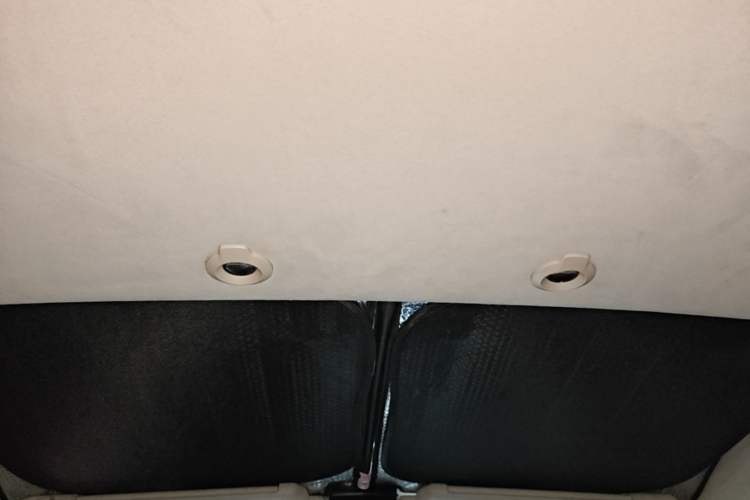 Used XPeng G3 2019 Deluxe Edition Headliner