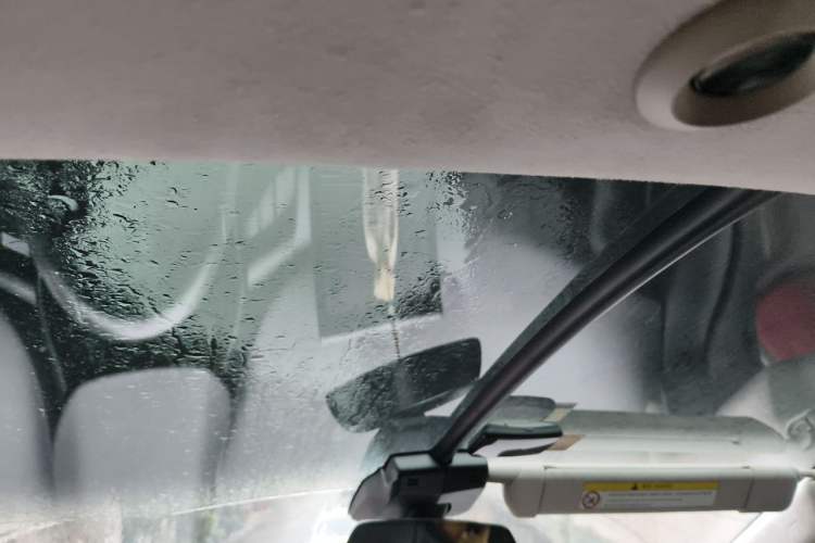 Used XPeng G3 2019 Deluxe Edition Headliner