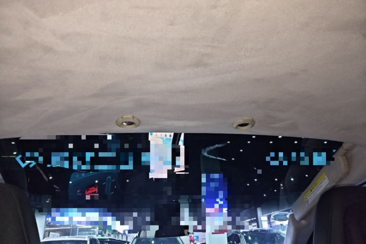 Used XPeng G3 2019 Deluxe Edition Headliner