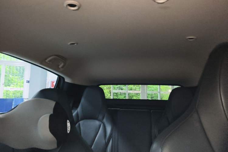 Used XPeng G3 2019 Smart Edition Headliner