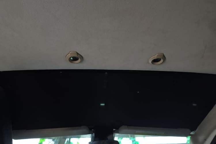 Used XPeng G3 2019 Deluxe Edition Headliner