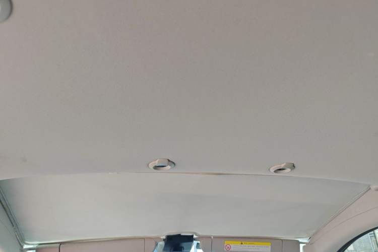 Used XPeng G3 2019 Smart Edition Headliner