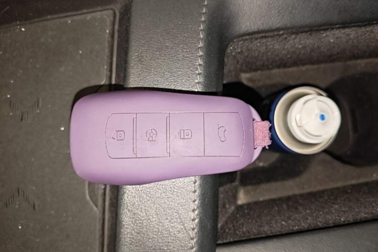 Used XPeng G3 2019 Deluxe Edition Vehicle Key
