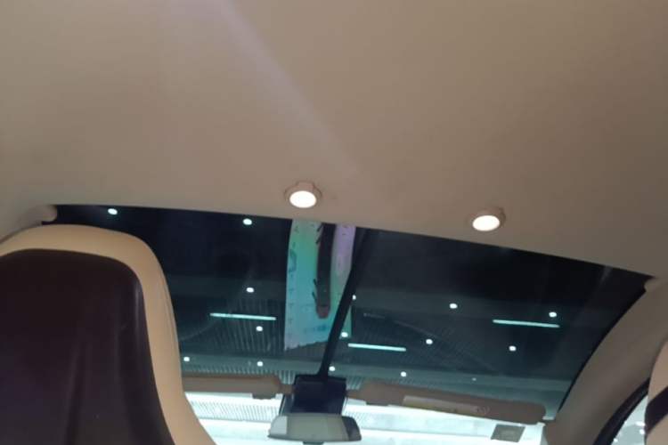 Used XPeng G3 2019 Smart Edition Headliner