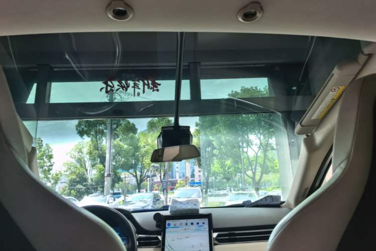 Used XPeng G3 2019 Enjoy Edition Headliner