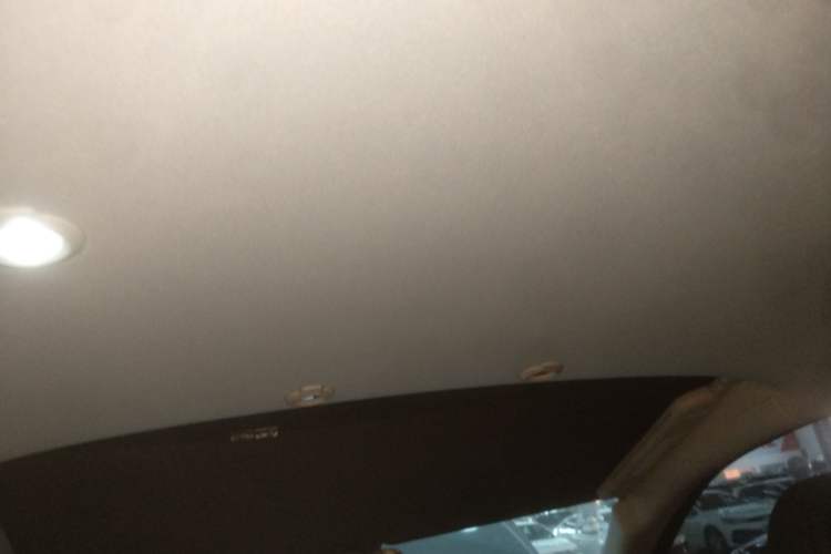 Used XPeng G3 2019 Smart Edition Headliner