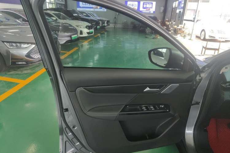 Used XPeng G3 2019 Smart Edition Left Front Door Interior