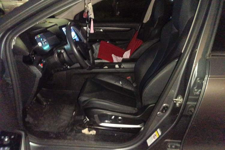 Used XPeng G3 2019 Smart Edition Left Front Seat