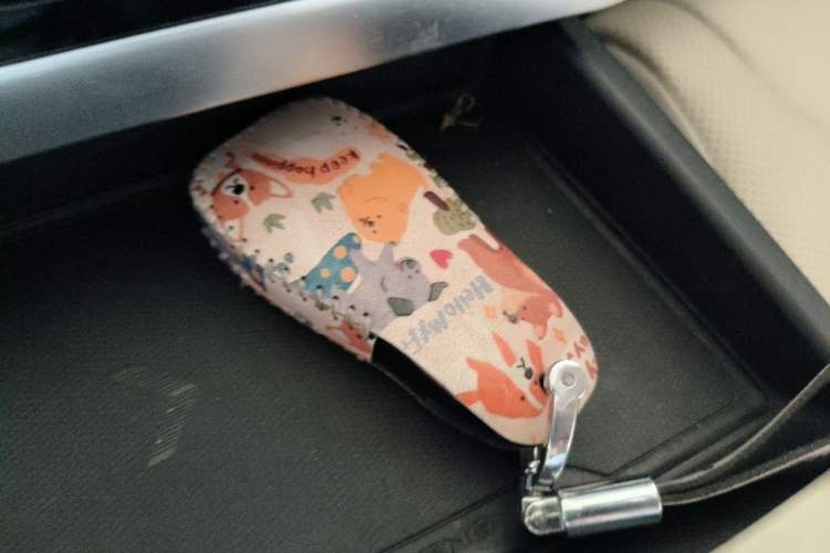 Used XPeng G3 2019 Deluxe Edition Vehicle Key