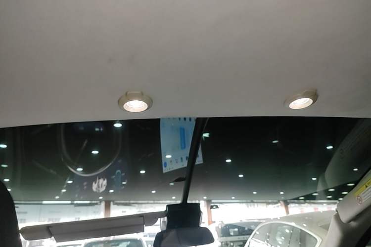 Used XPeng G3 2019 Deluxe Edition Headliner
