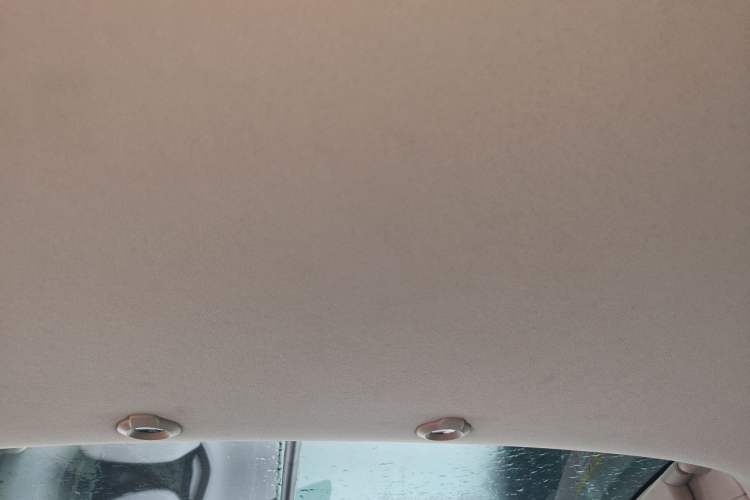 Used XPeng G3 2019 Smart Edition Headliner