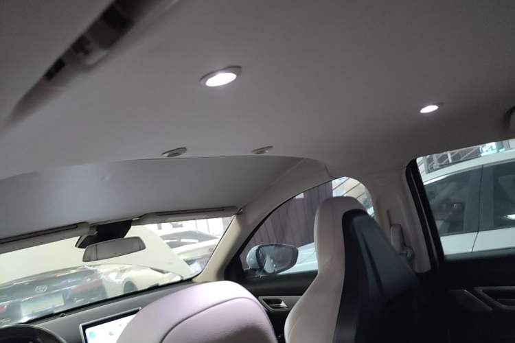 Used XPeng G3 2019 Smart Edition Headliner