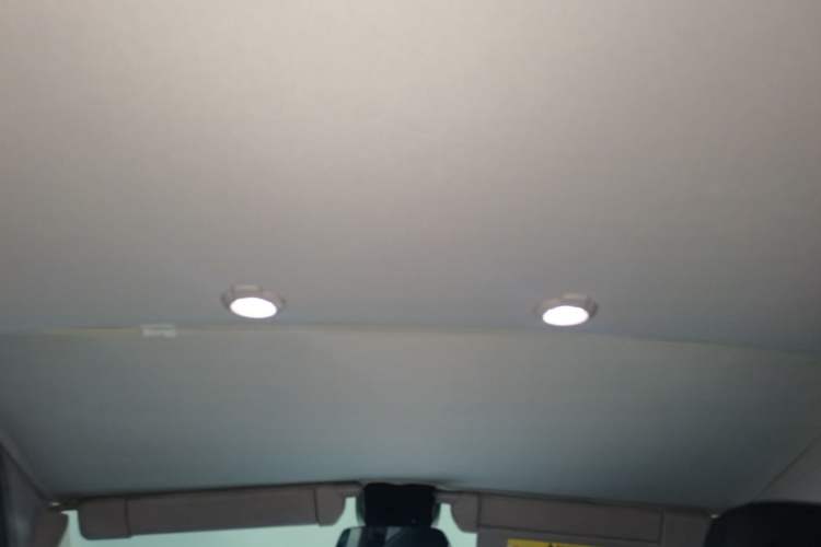 Used XPeng G3 2019 Smart Edition Headliner